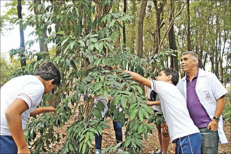 Alunos do Santa Marcelina se envolvem em pesquisa de campo para desenvolver projetos de ciências (foto: Santa Marcelina/Divulgação) Alunos do Santa Marcelina se envolvem em pesquisa de campo para desenvolver projetos de ciências (foto: Santa Marcelina/Divulgação)
