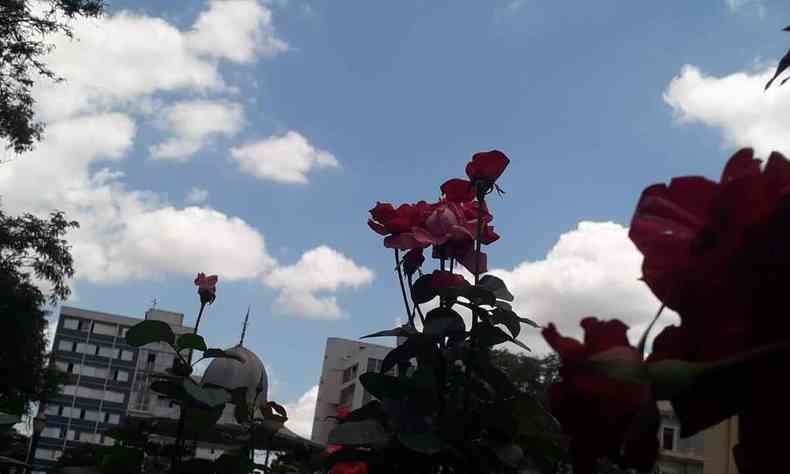 Flores na Praça da Liberdade, na Região Centro-Sul de BH, com céu azul e nuves 