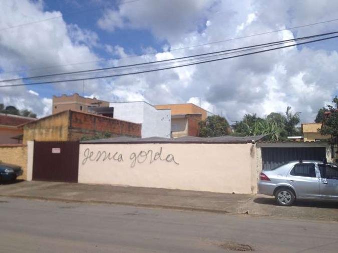 Pichao feita no muro da casa da jornalista em Poos de Caldas, no Sul de Minas(foto: Reproduo / Facebook)
