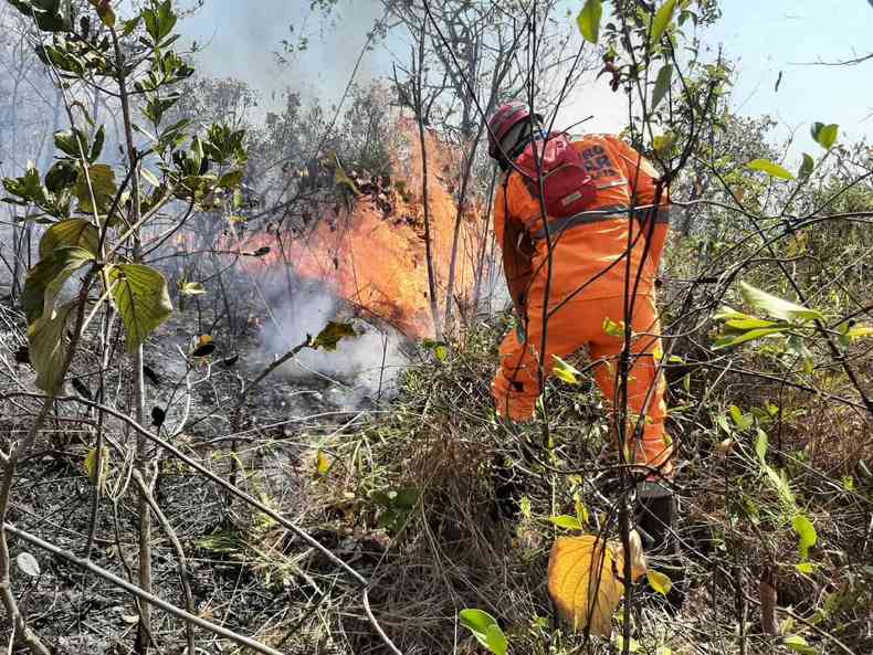Foram mais de cinco dias de combate ao incndio em Pitangui(foto: 10 BBM/Divulgao)