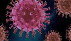 Probiticos podem agir na preveno de infeces virais