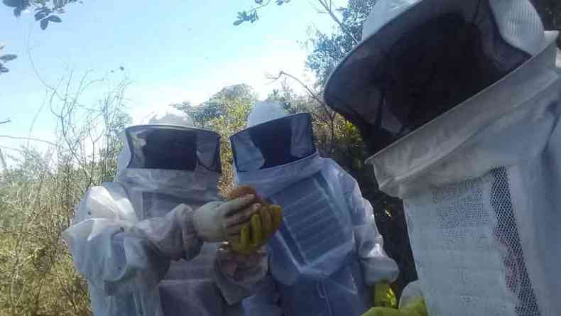 Norte de Minas  uma das reas em que a produo de mel tem crescido e surgem estudos sobre o mel do pequizeiro(foto: Projeto Meu Rio/Divulgao - 9/9/20)