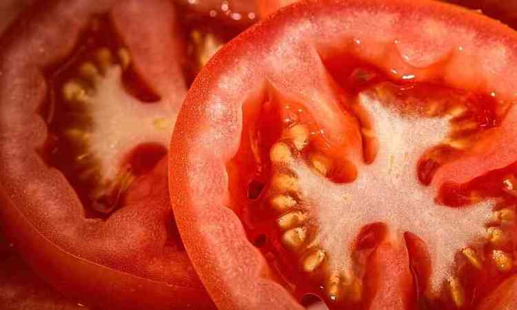 rodelas de tomate