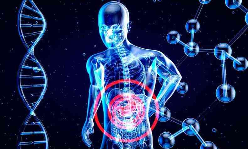 Ilustrao mostra ser humano, seus orgaos internos e desenho alusivo ao DNA