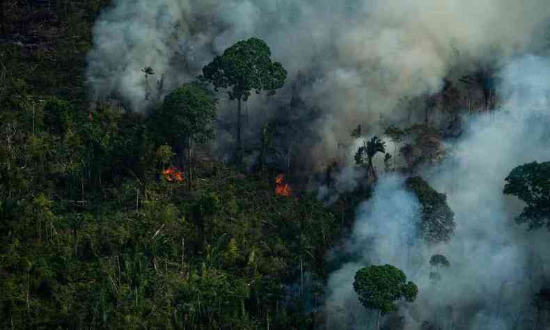 foto area mostra floresta no Amazonas em chamas, em setembro de 2020