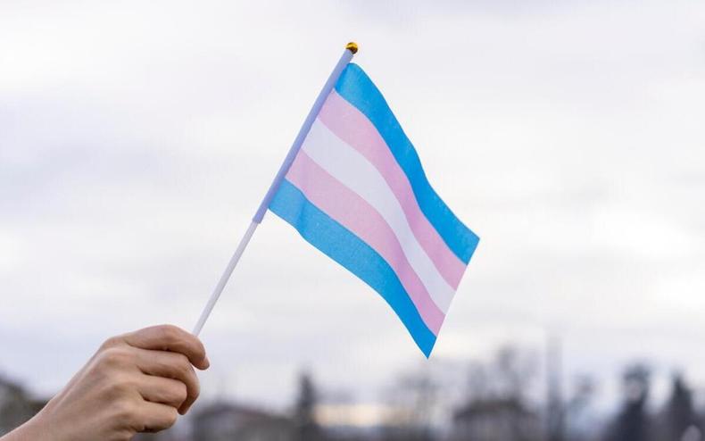 Transgêneros e não binários são 2% dos brasileiros(foto: PIXABAY/REPRODUÇÃO) BANDEIRA TRANS