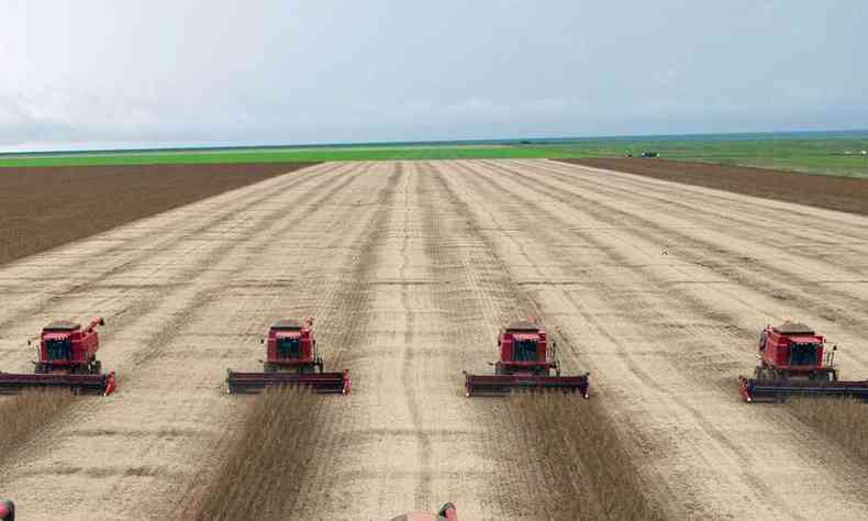 Plantao de soja no Brasil: mercado de defensivos agrcolas segue tendncia de expanso da agricultura no ano passado(foto: YASUYOSHI CHIBA/AFP)