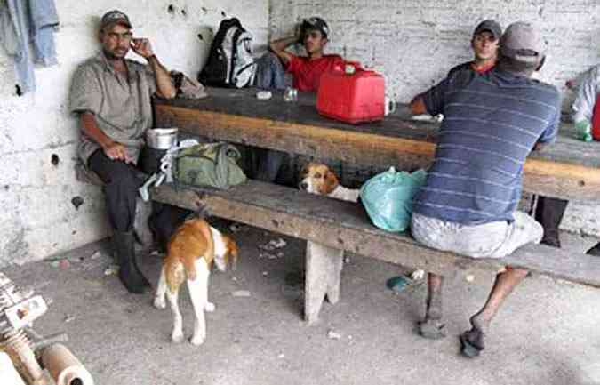 Trabalhadores comiam em local sujo e com animais(foto: Ministrio Pblico do Trabalho / Divulgao)