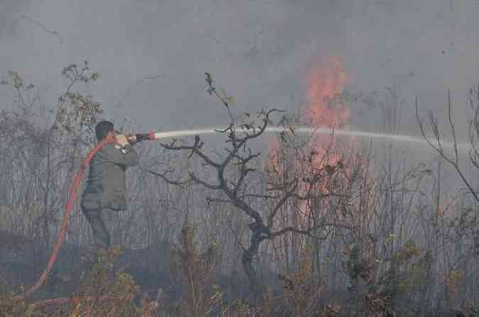 O incndio s margens da BR-040 demorou cerca de oito horas e meia para ser controlado(foto: Marcos Michellin/EM/D.A Press)