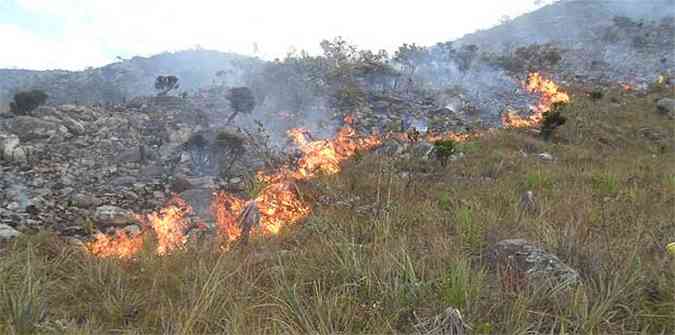A linha de fogo se espalhou para mais de dois quilômetros na porção sul do parque(foto: Anônimo Divulgação )