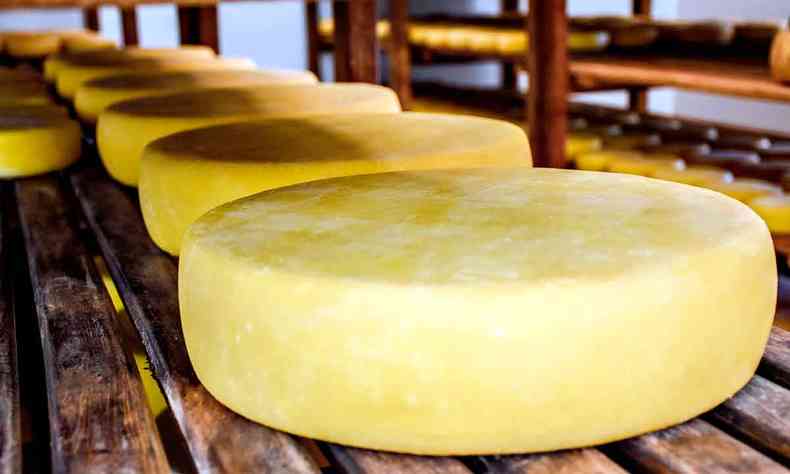 Foto mostra queijos canastra sobre prateleiras de madeira