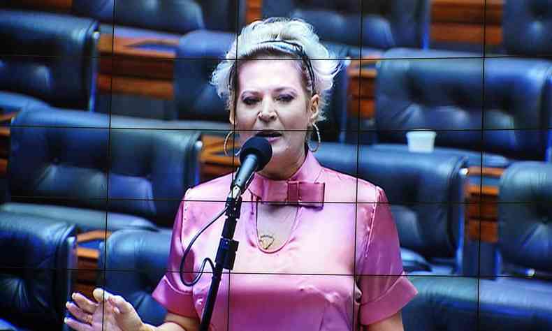  A deputada sofreu cinco fraturas na face e uma na coluna(foto: Pablo Valadares/Cmara dos Deputados)