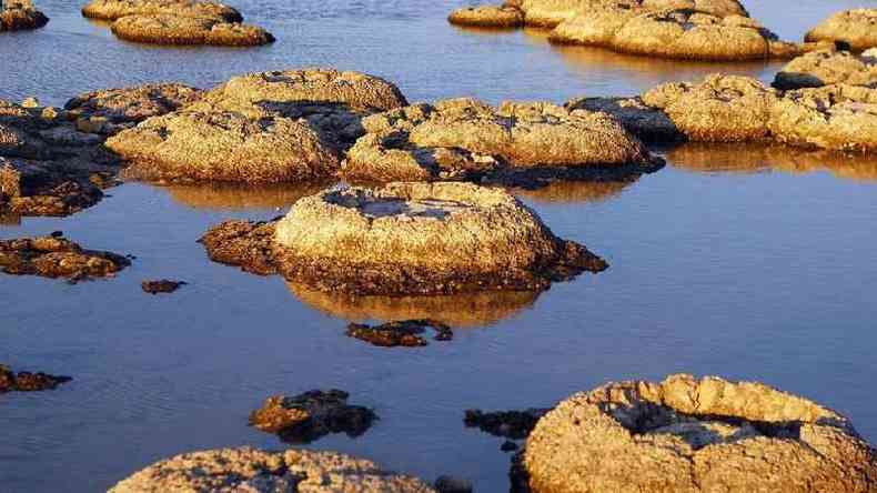 Estromatólitos são fósseis vivos e as formas de vida mais antigas do nosso planeta(foto: MaXPdia/Getty Images)