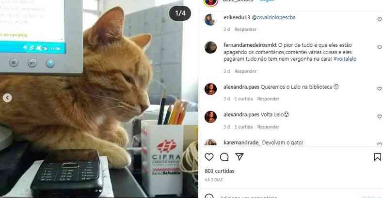 Imagem de post nas redes sociais pedindo a volta do gato