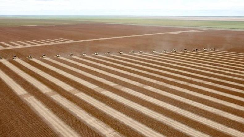 Colheita de soja, em foto de arquivo; segundo Carlos Nobre, fora agrcola brasileira  ameaada pelas mudanas climticas e pelo desmatamento(foto: Reuters)