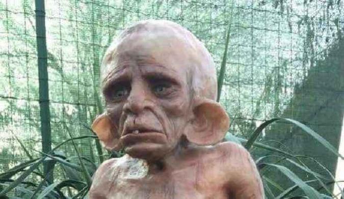 Segundo mensagens do WhatsApp, essa suposta criatura - meio duende meio cachorro, foi flagrado dando um passeio próxima a casa da pastora Eliana em Feira de Santana na Bahia. Você acreditaria nessa notícia? Essa é uma das centenas de Fake News que os brasileiros recebem nas suas redes sociais.(foto: Internet) Segundo mensagens do WhatsApp, essa suposta criatura - meio duende meio cachorro, foi flagrado dando um passeio próxima a casa da pastora Eliana em Feira de Santana na Bahia. Você acreditaria nessa notícia? Essa é uma das centenas de Fake News que os brasileiros recebem nas suas redes sociais.(foto: Internet)