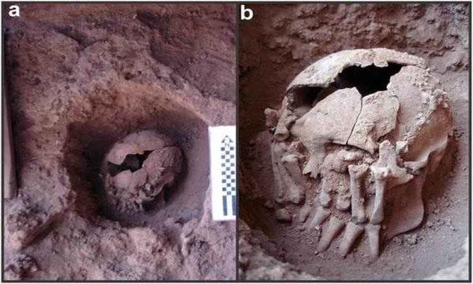 Crânio na sepultura, a 55cm de profundidade. Ao lado (D), detalhe da mão amputada que esconde a cabeça(foto: Max Planck de Antropologia Evolucionária/Divulgação ) Crânio na sepultura, a 55cm de profundidade. Ao lado (D), detalhe da mão amputada que esconde a cabeça(foto: Max Planck de Antropologia Evolucionária/Divulgação )