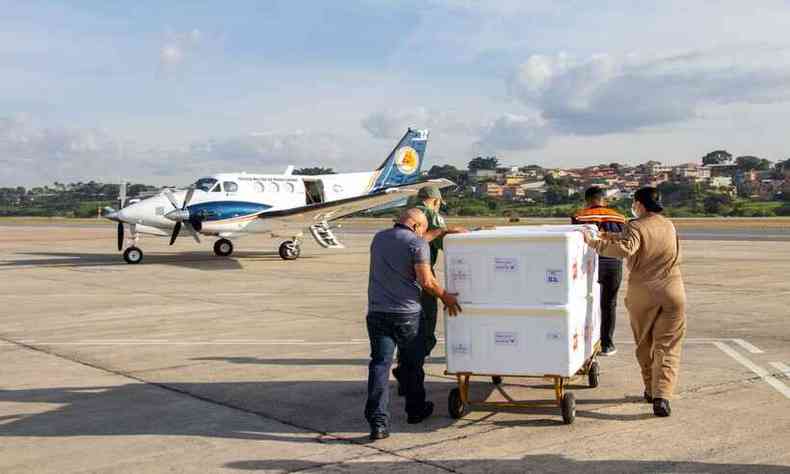 390.550 doses de vacina sero distribudas em Minas Gerais(foto: Fbio Marchetto/Governo de Minas Gerais/Divulgao)