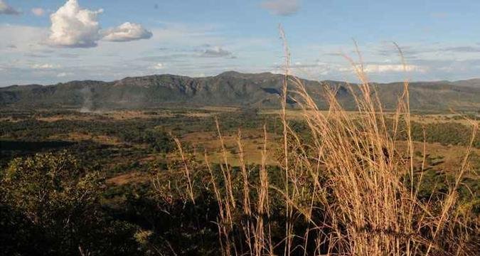 (foto: Zuleika de Souza/CB/D.A Press)