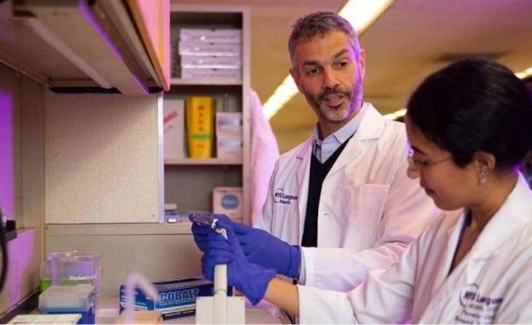 O pesquisador Jose Scher ao lado de colega no laboratrio da NYU Grossman School of Medicine