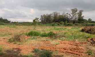 Obras na rea em que os animais sero isolados esto paradas e ainda levam dois meses, segundo a prefeitura(foto: Sidney Lopes/EM/DA Press)