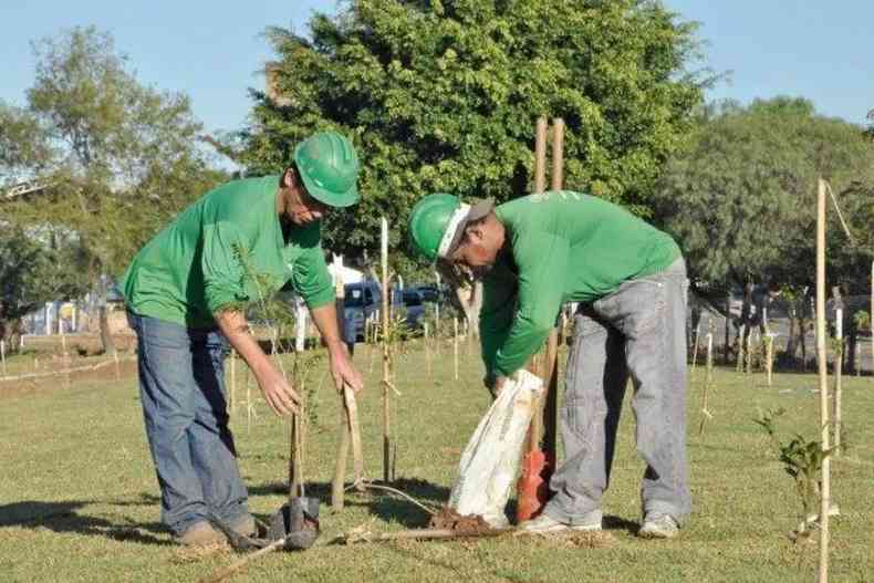 MRV reduz resduos gerados em suas obras e incentiva o plantio de rvores nas cidades onde atua(foto: Divulgao)