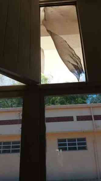 Telas rasgadas no hospital(foto: Divulgao)