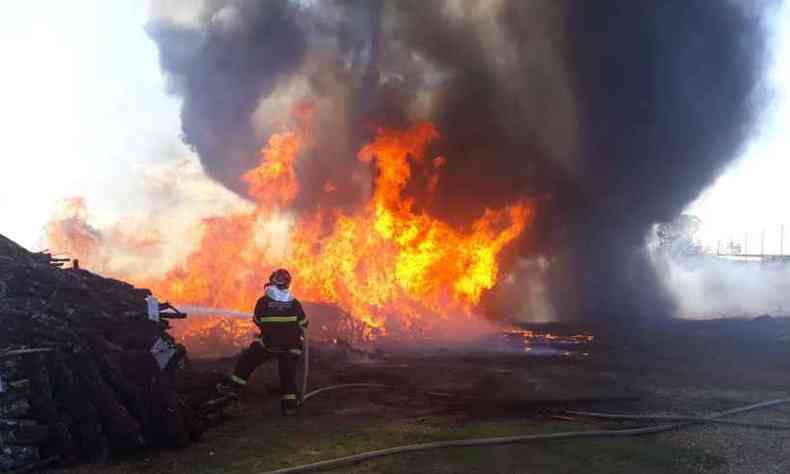 As chamas comearam em uma vegetao e se alastraram rapidamente(foto: Corpo de Bombeiros/Divulgao)