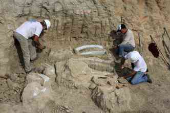 Fósseis ainda estão presos ás rochas e especialistas trabalham na escavação em busca de novos achados(foto: Luís Adolfo/UFTM)