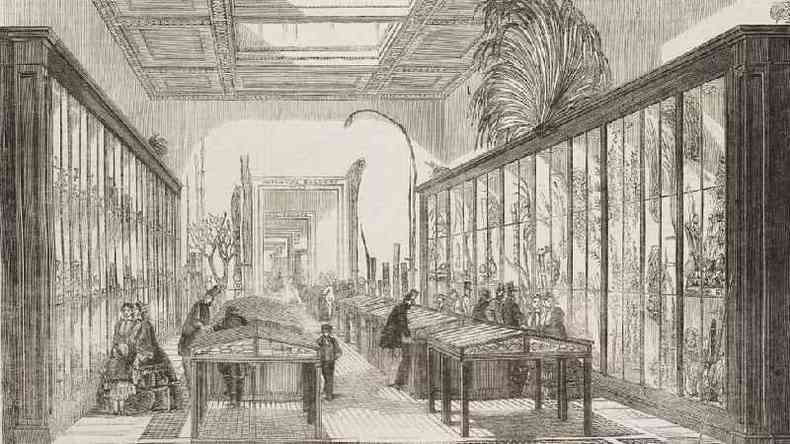 Sala botnica do Museu Britnico, em 1858