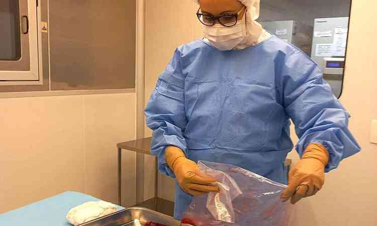 pesquisador manipula uma placenta