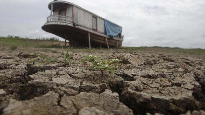 Seca em regio amaznica, em foto de 2010; estudos apontam que regio est sob risco de savanizao(foto: Reuters)