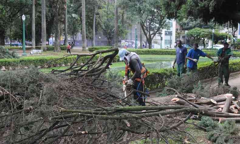 O corte de rvores degradas e que pem em risco a segurana na praa deu incio aos trabalhos, ainda no anunciados oficialmente(foto: Tlio Santos/EM/D.A PRESS)