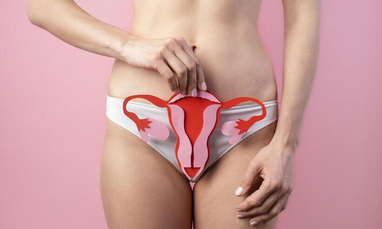 moa segura a ilustrao do ovrio em frente a vagina, sem aparecer o rosto