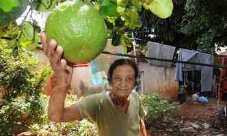 Maria Horta, a mais antiga moradora da Mala e Cuia, colhe fruta no quintal de casa. 