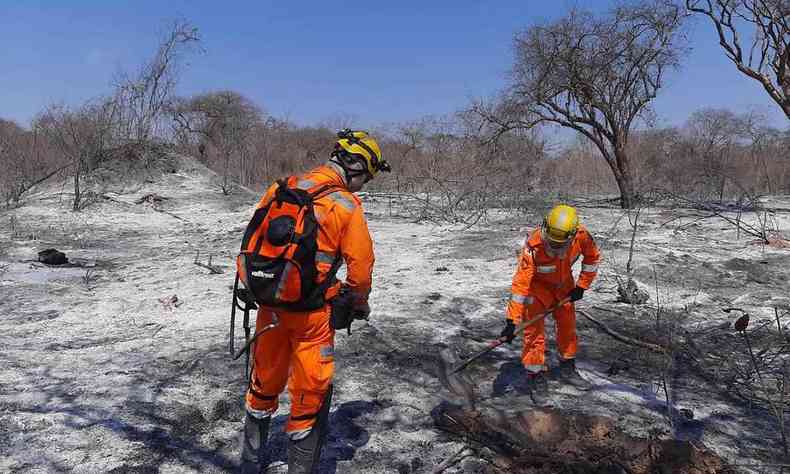 Bombeiros fazem rescaldo em rea atingida pelo fogo no municpio de Gameleira