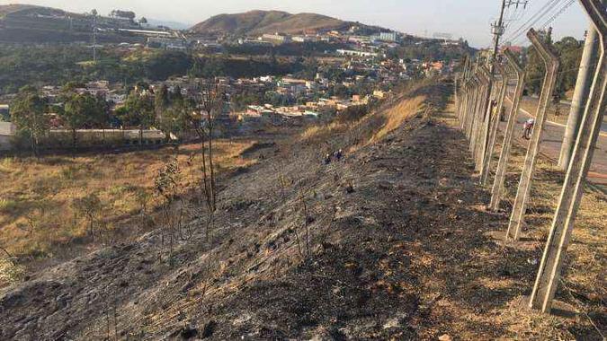 As chamas destruíram uma grande área da vegetação no Bairro Olhos D'água(foto: Corpo de Bombeiros/Divulgação) As chamas destruíram uma grande área da vegetação no Bairro Olhos D'água(foto: Corpo de Bombeiros/Divulgação)