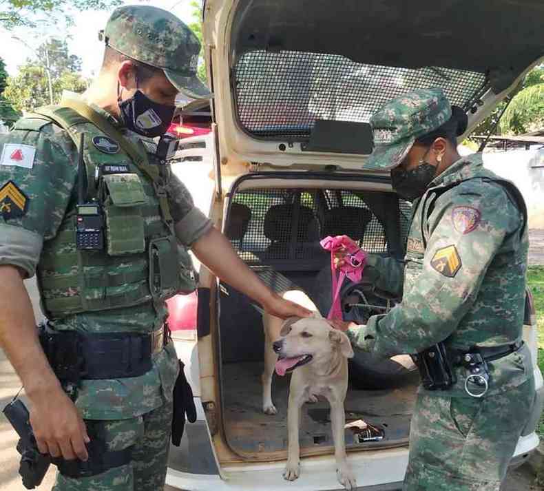 Policiais militares do Meio Ambiente resgatam cadela que sofria abusos em Ipaba