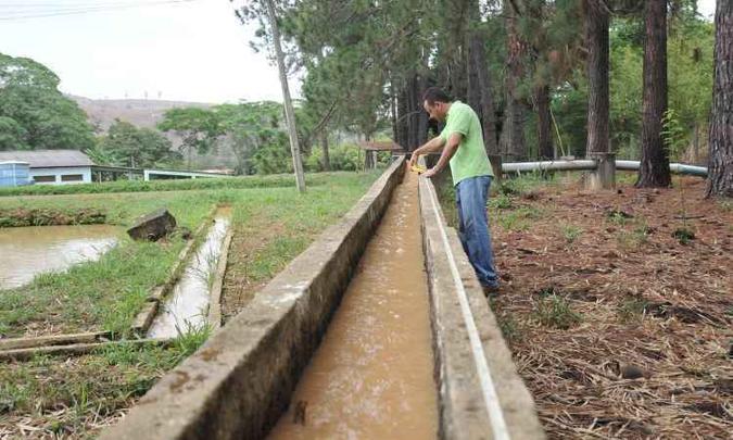 Especialistas como o professor Abraão Elesbon trabalham em projetos de resgate da fauna e repovoamento(foto: Alexandre Guzanshe/EM/D.A Press) Especialistas como o professor Abraão Elesbon trabalham em projetos de resgate da fauna e repovoamento(foto: Alexandre Guzanshe/EM/D.A Press)