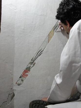 (foto: MCPT/DIVULGAÇÃO) Restaurador recupera pinturas originais de flores no Museu Casa Padre Toledo, em Tiradentes
