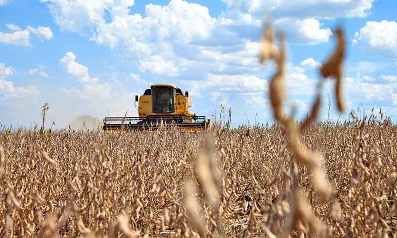 Se houver punição ao Brasil pelos consumidores e governos, produtos como soja, milho e carne sofrerão perdas de vendas e de rentabilidade(foto: Monsanto/Divulgação) Se houver punição ao Brasil pelos consumidores e governos, produtos como soja, milho e carne sofrerão perdas de vendas e de rentabilidade(foto: Monsanto/Divulgação)