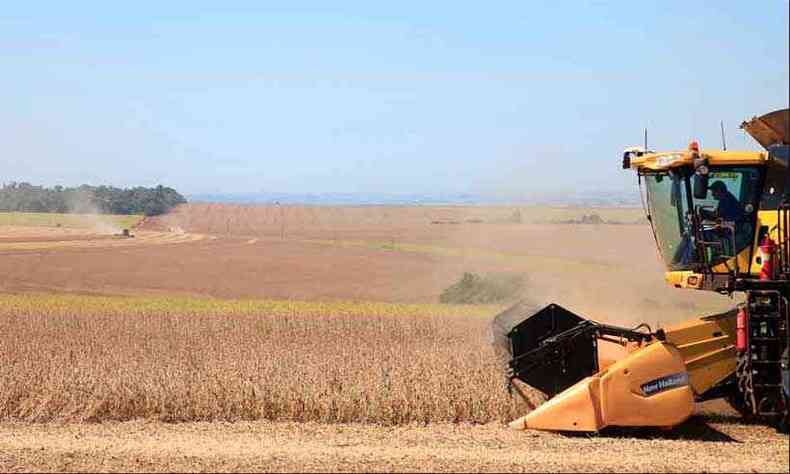 Lavoura de soja: crescimento do setor agropecurio garantiu expanso da economia brasileira em 2017(foto: Monsanto/Divulgao)