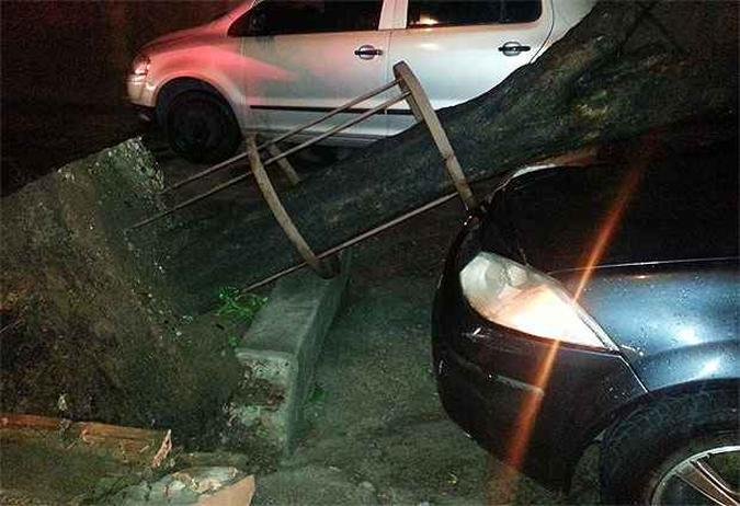 (foto: B�rbara Coutinho)