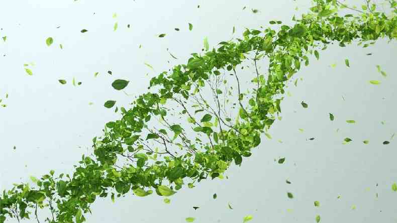 O cncer  um modelo biolgico pertinente para estudar a evoluo dos seres vivos(foto: Getty Images)