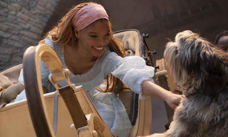 Ariel com Max em 'A pequena sereia'