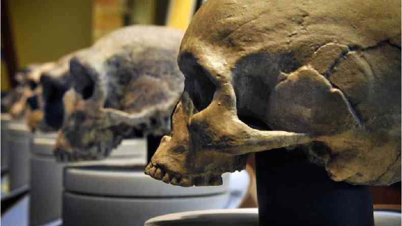 Uma das causas possveis para o desaparecimento dos neandertais  a consanguinidade(foto: Getty Images)