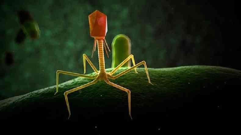 Ilustrao de um bacterifago(foto: Getty Images)