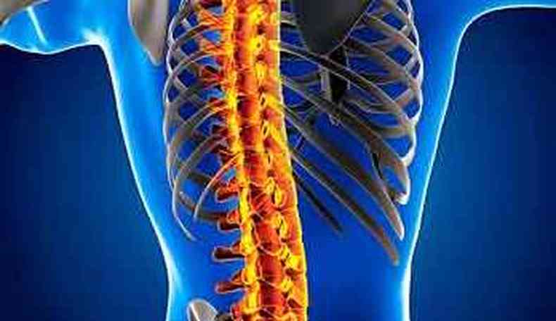 Imagem mostrando coluna vertebral em 3D 