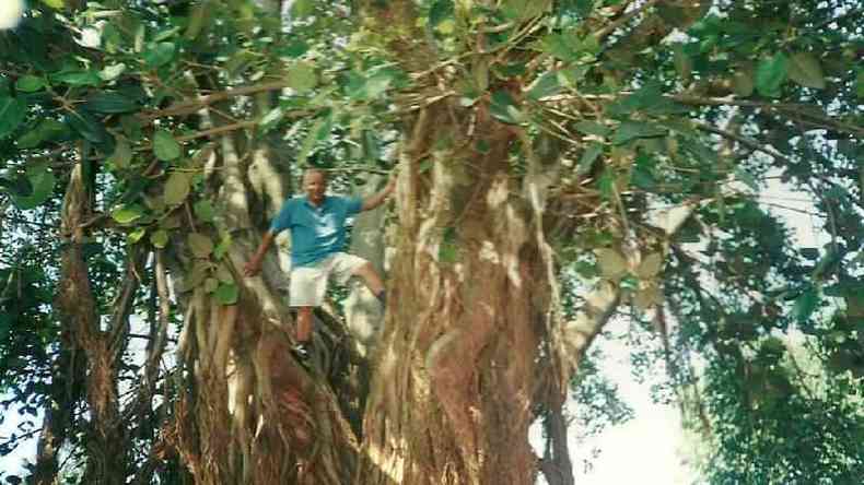 Quando tinha 17 anos, Ado plantou uma muda de figueira, que hoje  uma enorme rvore no norte de Minas(foto: Arquivo pessoal)