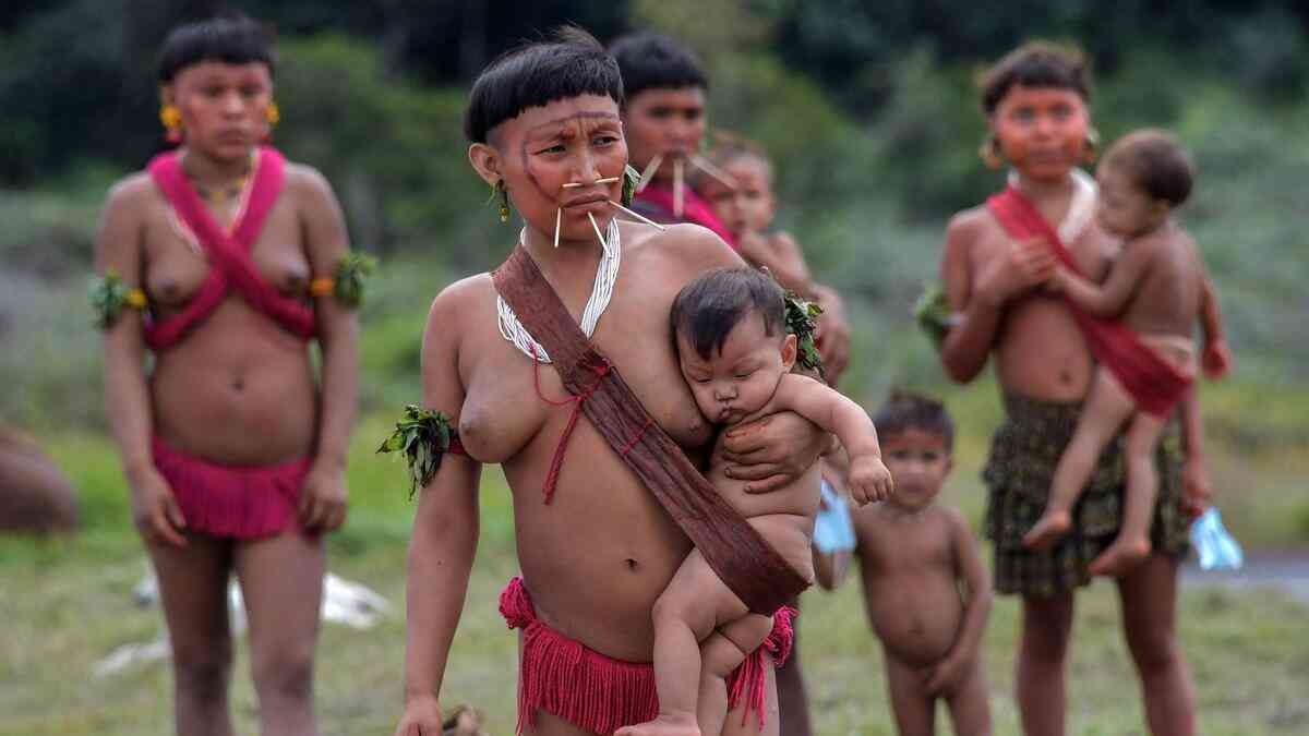 Yanomamis fazem fila para receber cestas básicas - Nacional - Estado de  Minas